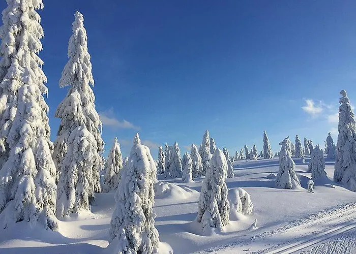 Hébergement de vacances Dum A Pod Smrkem *